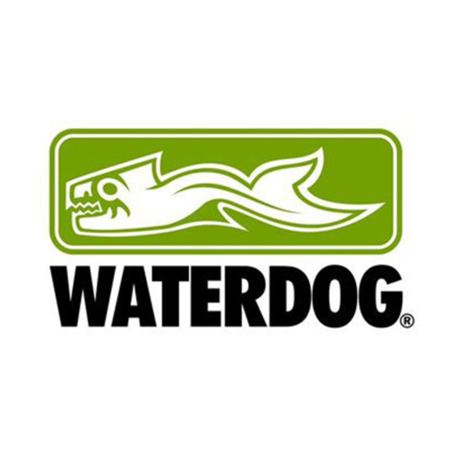 WATERDOG